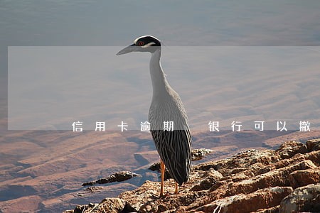 信用卡逾期 银行可以撤销 信用卡逾期 银行可以撤销